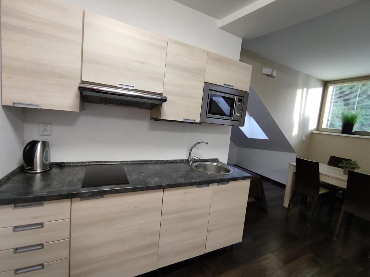 Anensky Apartman C303 - S O2 Tv A Stabilni Rychlou Wifi, S Moznosti Dokoupeni Bufetovych Snidani - By Relax Harrachov Eksteriør bilde